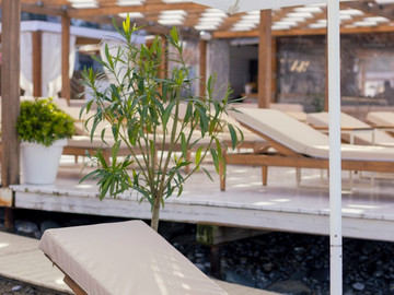 Шезлонг под зонтом целый день